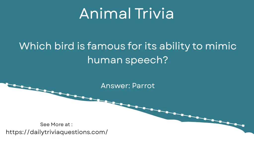 Animal Trivia _ Daily Trivia Questions